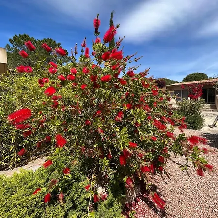 Otel Les Jardins De Sta Giulia Avec Piscine Porto-Vecchio (Corsica)