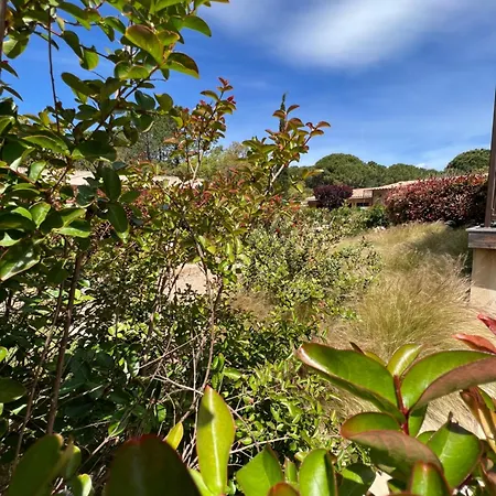 Les Jardins De Sta Giulia Avec Piscine Otel Porto-Vecchio (Corsica)