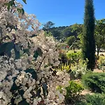 호텔 Les Jardins De Sta Giulia Avec Piscine