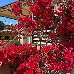 Les Jardins De Sta Giulia Avec Piscine