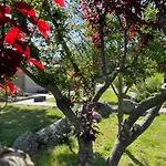 Les Jardins De Sta Giulia Avec Piscine * 포르토베쉬오