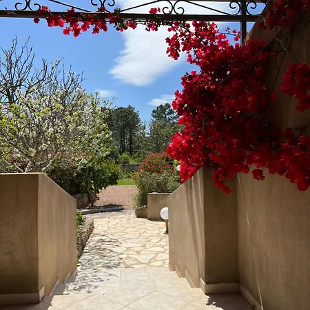 Les Jardins De Sta Giulia Avec Piscine 维琪奥港