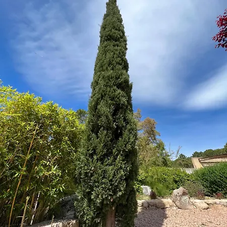 Les Jardins De Sta Giulia Avec Piscine Готель