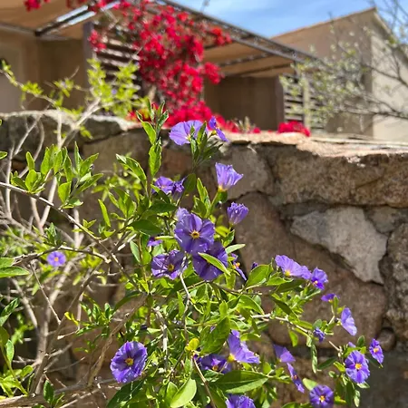 Les Jardins De Sta Giulia Avec Piscine 酒店