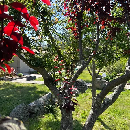Les Jardins De Sta Giulia Avec Piscine * Порто-Веккіо