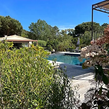 Les Jardins De Sta Giulia Avec Piscine Порто-Веккіо