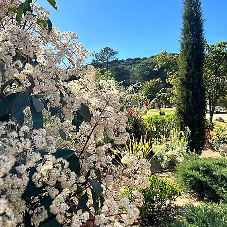 Les Jardins De Sta Giulia Avec Piscine Порто-Веккіо