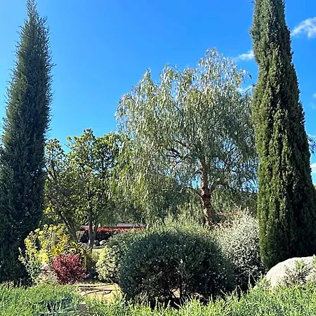 Les Jardins De Sta Giulia Avec Piscine