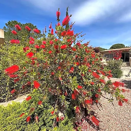 Готель Les Jardins De Sta Giulia Avec Piscine