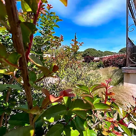 Готель Les Jardins De Sta Giulia Avec Piscine *