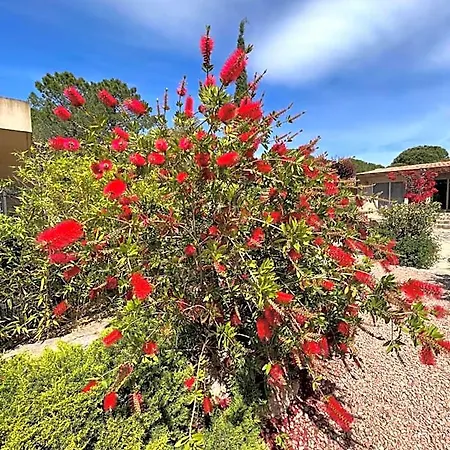Готель Les Jardins De Sta Giulia Avec Piscine *
