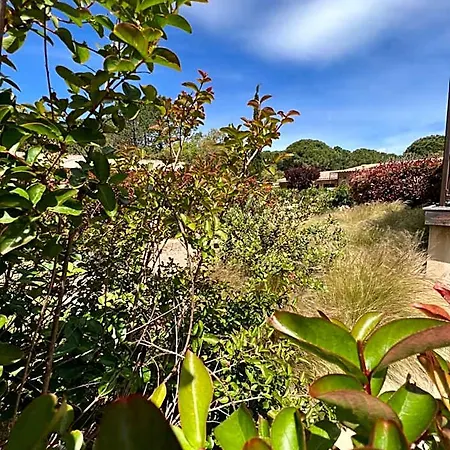 Готель Les Jardins De Sta Giulia Avec Piscine