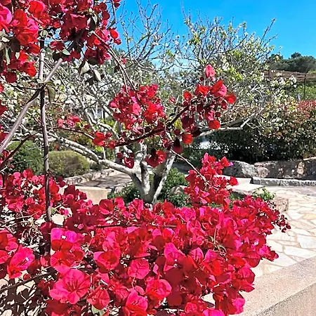 Les Jardins De Sta Giulia Avec Piscine Готель Порто-Веккіо