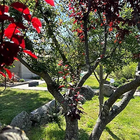 Les Jardins De Sta Giulia Avec Piscine Готель