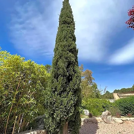 Les Jardins De Sta Giulia Avec Piscine