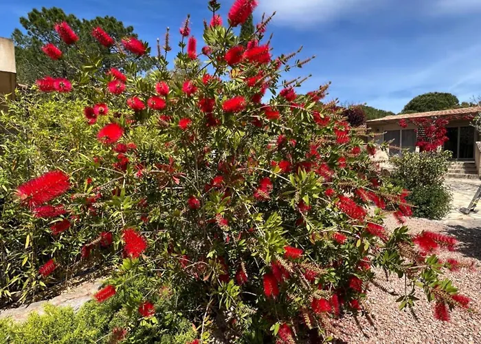 Hotel Les Jardins De Sta Giulia Avec Piscine Porto-Vecchio (Corsica)