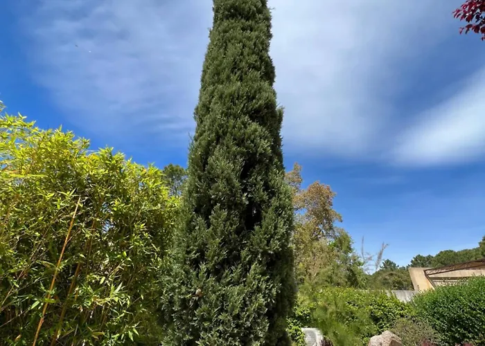 Les Jardins De Sta Giulia Avec Piscine Hotel