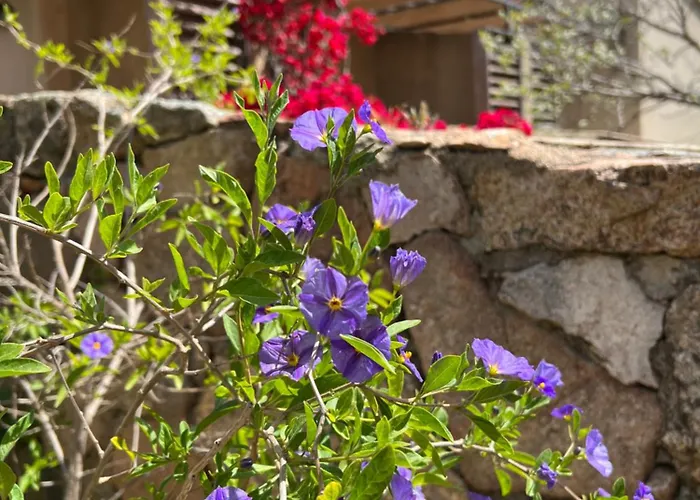 Les Jardins De Sta Giulia Avec Piscine فندق