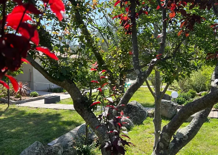 Les Jardins De Sta Giulia Avec Piscine * بورتو فيكشْيو